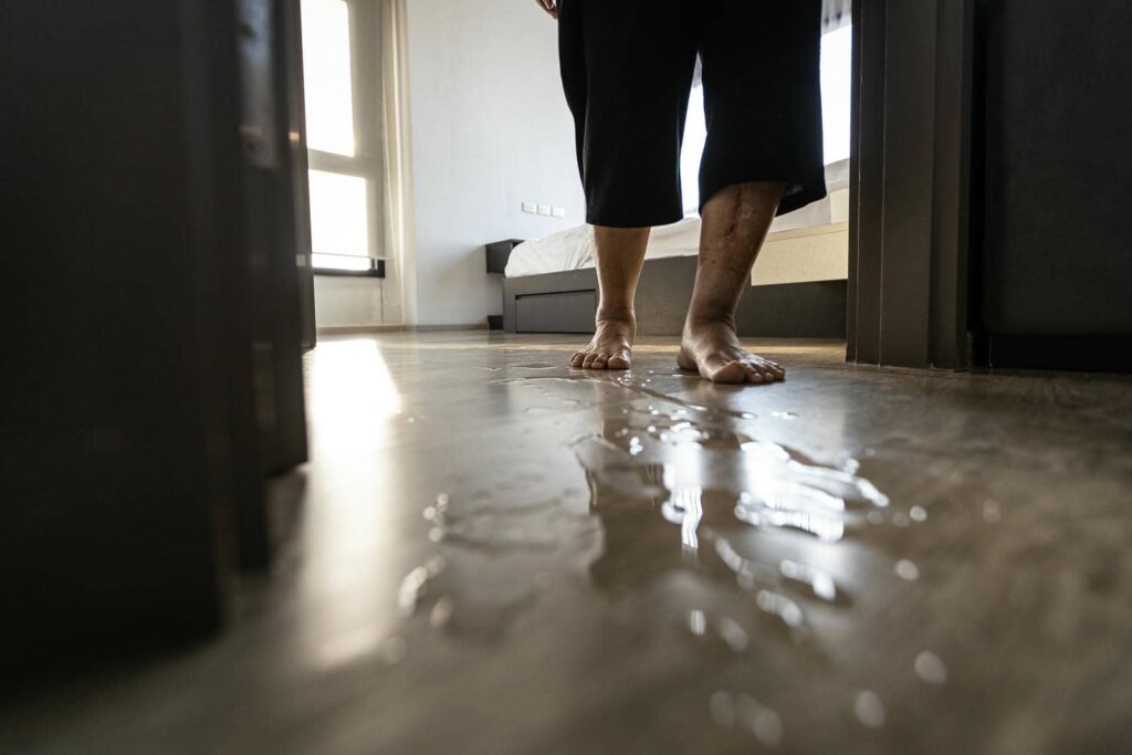7 Essential Tips for Post-Rain Water Cleanup