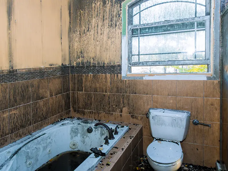 fire damage restoration