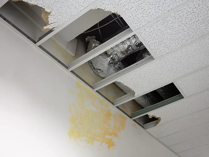 Commercial water damage restoration