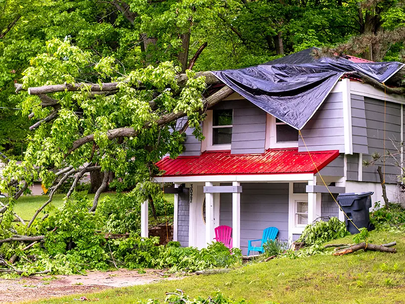 storm damage restoration